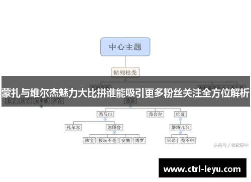蒙扎与维尔杰魅力大比拼谁能吸引更多粉丝关注全方位解析