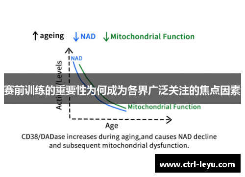 赛前训练的重要性为何成为各界广泛关注的焦点因素