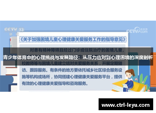 青少年体育中的心理挑战与发展路径：从压力应对到心理困境的深度剖析