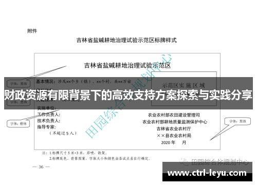 财政资源有限背景下的高效支持方案探索与实践分享